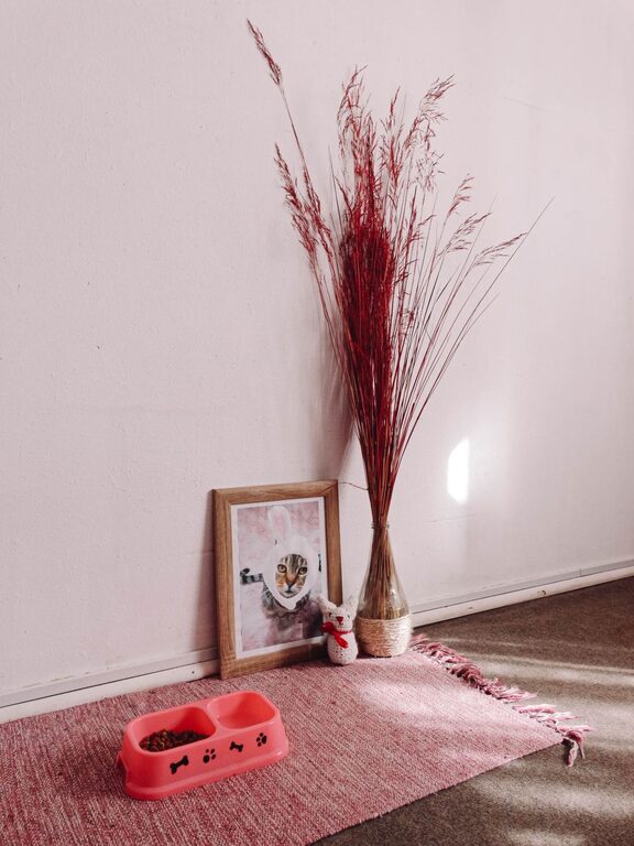 Creating a Cozy and Safe Pet-Friendly Home Corner